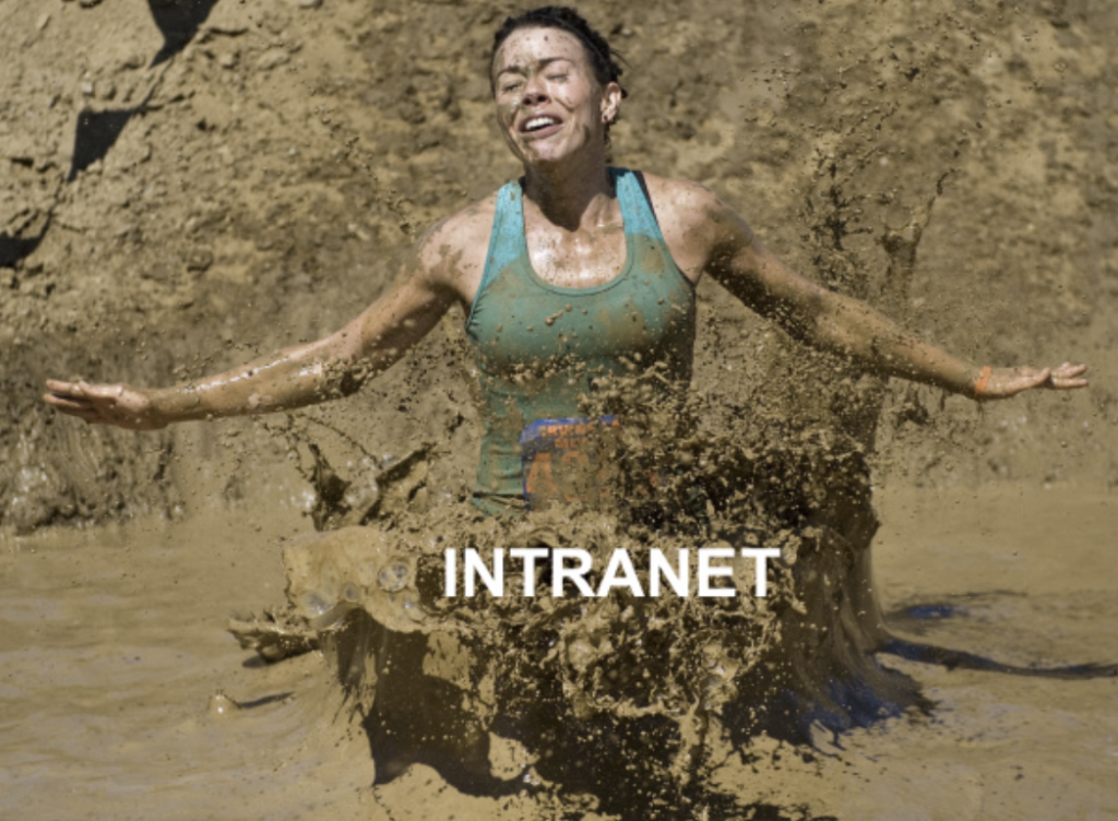 When building an intranet, don