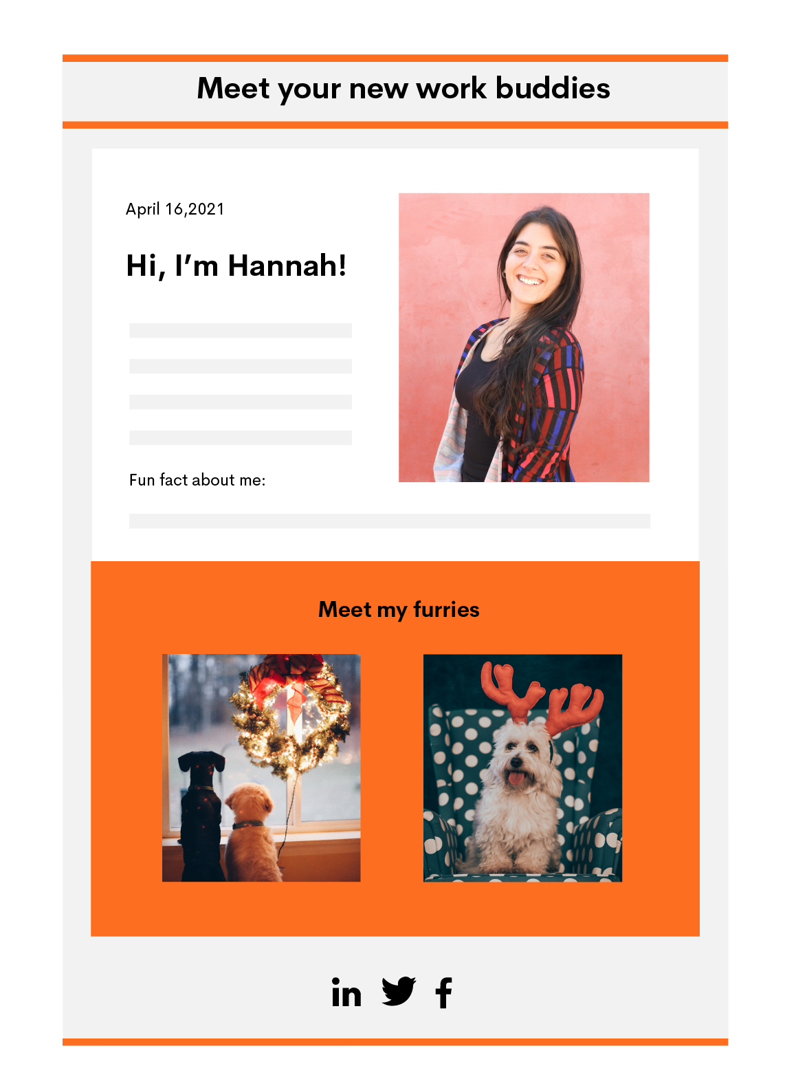 Newsletter with the header