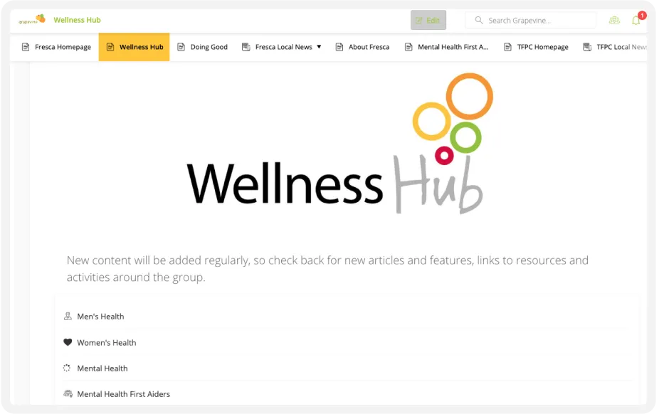 Webpage displaying "Wellness Hub" logo with colorful circles. Sections for Men's Health, Women's Health, and Mental Health First Aiders listed below.