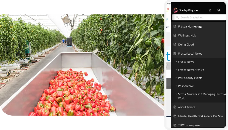 A greenhouse with red peppers on a conveyor belt and rows of green plants; a sidebar menu is visible on the right.
