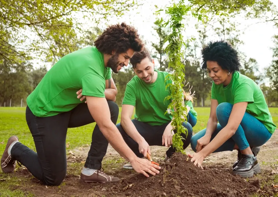 Three people in green shirts planting a small tree together in a park, surrounded by grass and trees, under a clear sky.