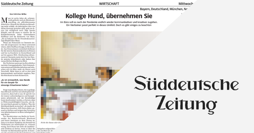 Front page of Süddeutsche Zeitung featuring an article titled "Kollege Hund, übernehmen Sie" with blurred images and text.
