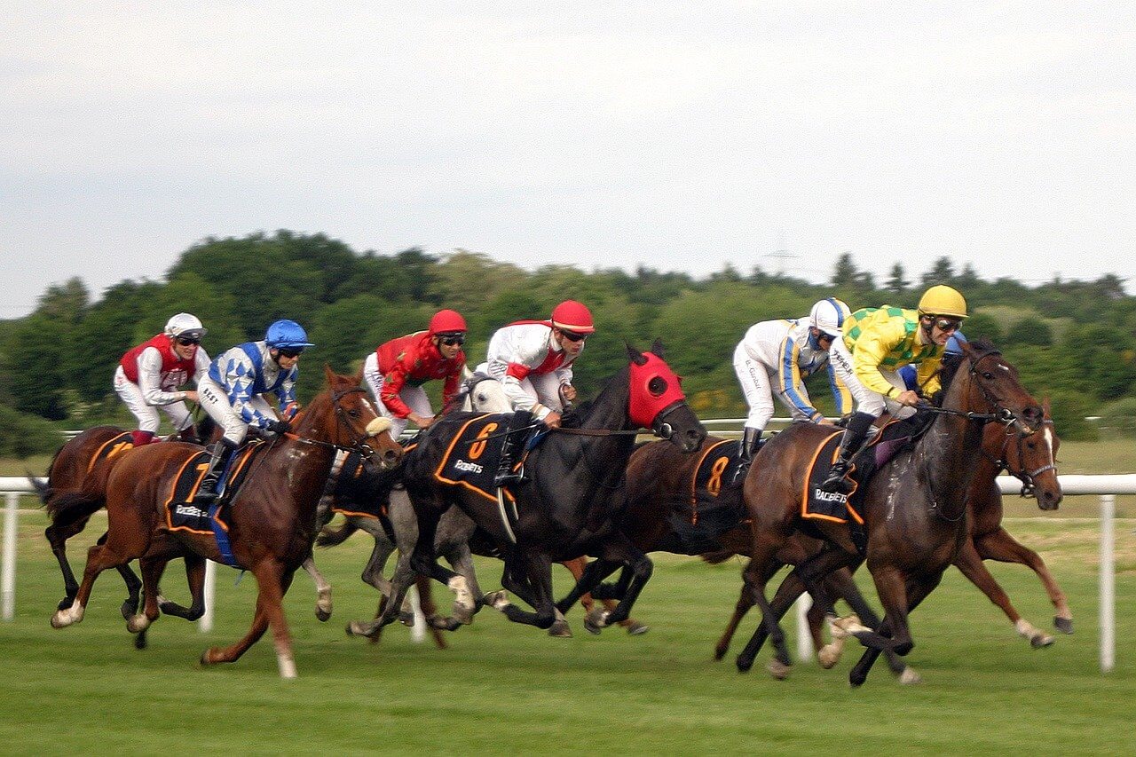 Pferde und Jockeys beim Pferderennen