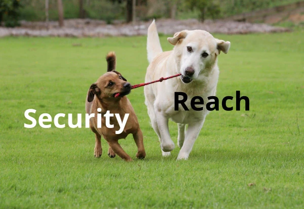Two dogs running on grass, each holding one end of a rope. The words "Security" and "Reach" are overlaid on the image.