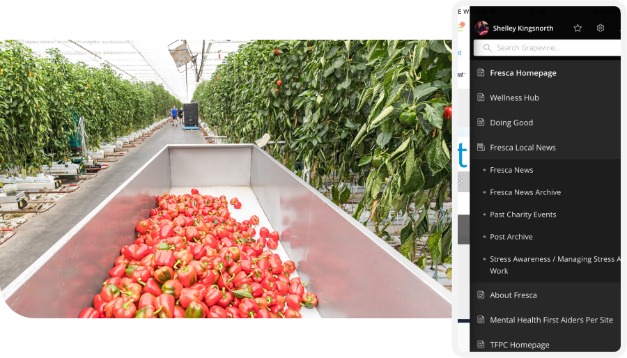 A greenhouse with red peppers on a conveyor belt and rows of green plants; a sidebar menu is visible on the right.