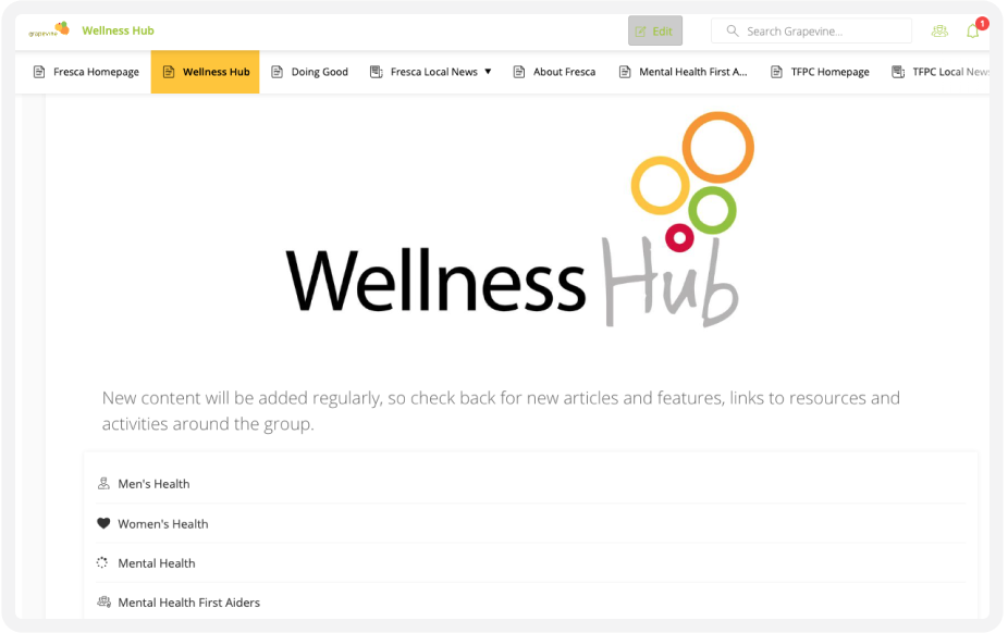Webpage displaying "Wellness Hub" logo with colorful circles. Sections for Men's Health, Women's Health, and Mental Health First Aiders listed below.
