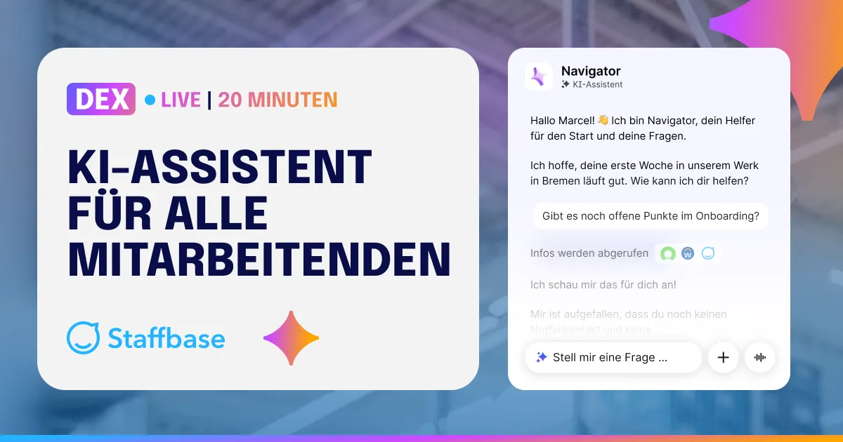 DEX Live Navigator LP & TYP Asset