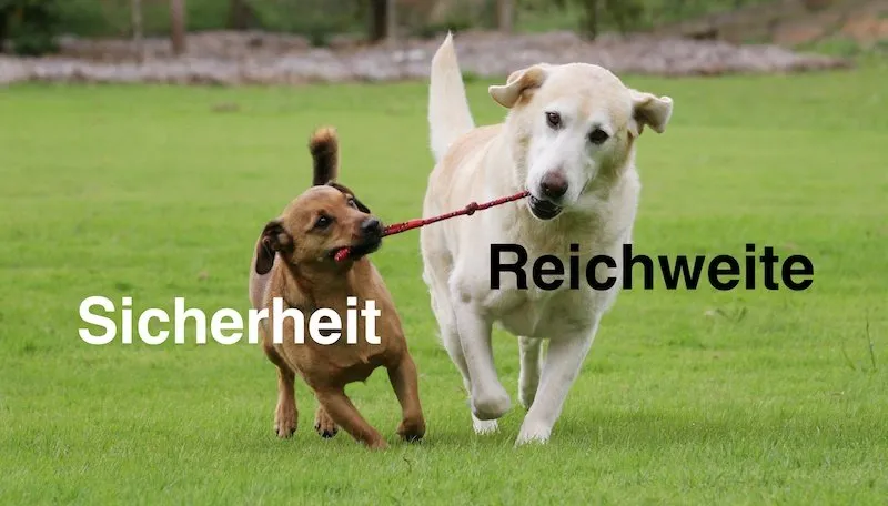 Die 3 Probleme des Social Intranet