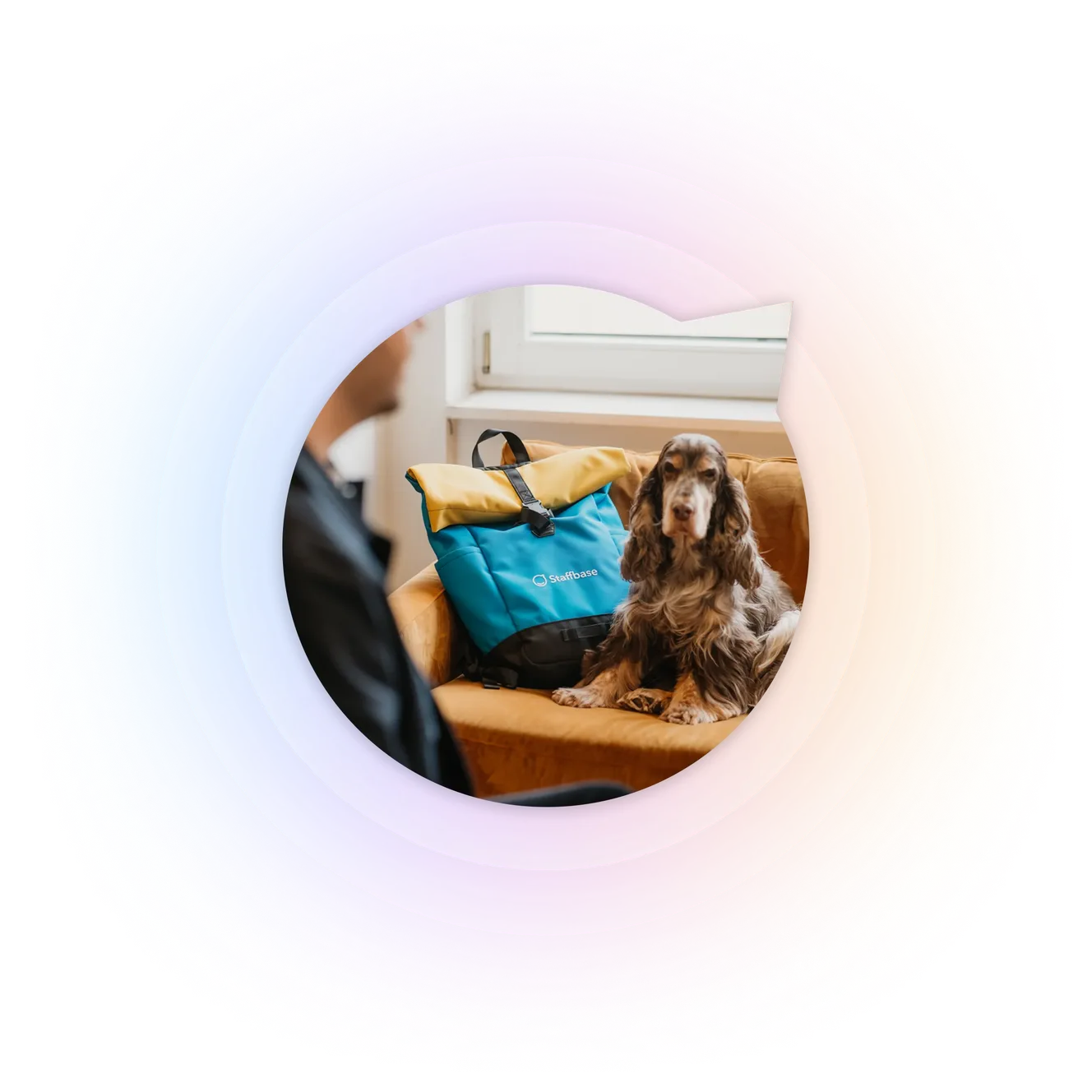 Staffbase branded bag on a couch next to a dog, with an employee in the foreground.