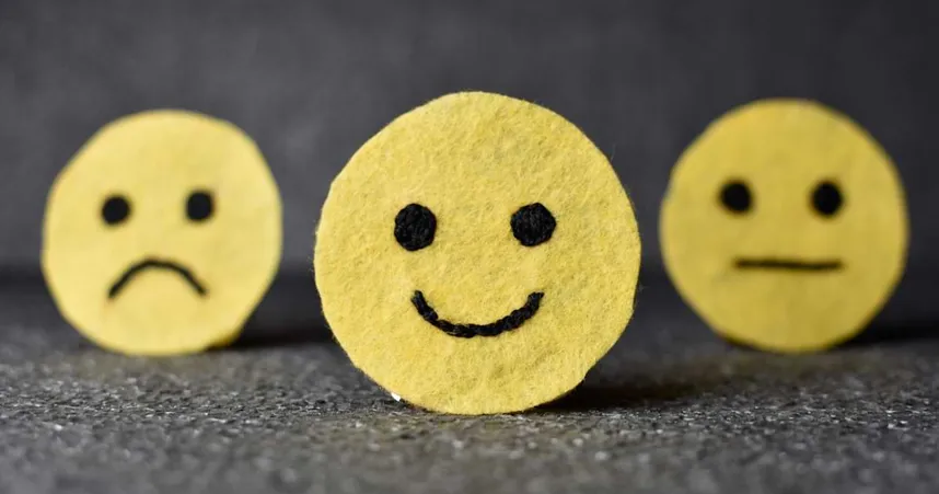 Employee Survey Smileys