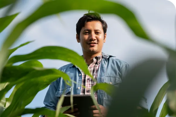 Person in a denim shirt holding a tablet, standing amidst tall green plants, with a blue sky in the background.